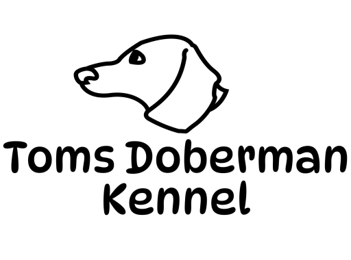 Toms Doberman Kennel
