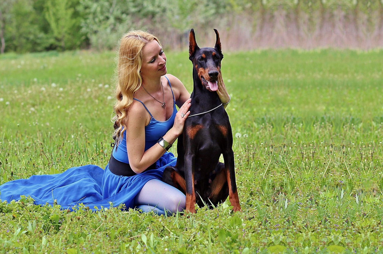 love, woman, doberman, field, sitting, doberman, doberman, doberman, doberman, doberman